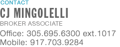 CJ MINGOLELLI, Broker Associate, Douglas Elliman Real Estate - Florida Real Estate